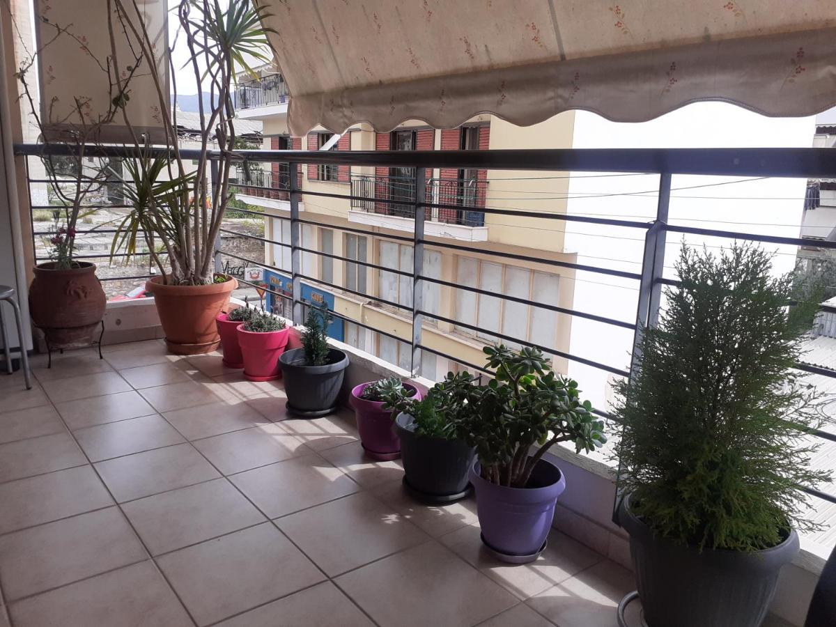 Old City Apartment 沃洛斯 外观 照片